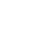L1