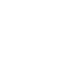 L1