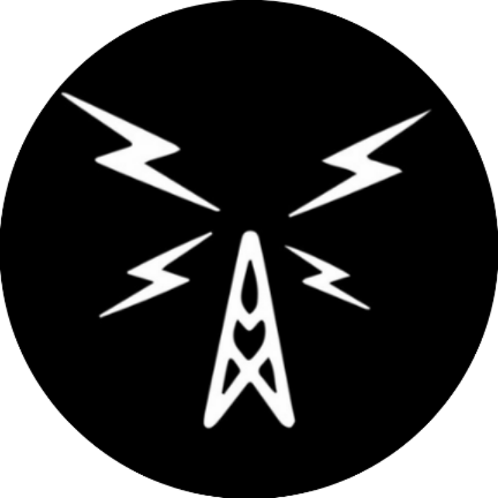 Soulwax FM